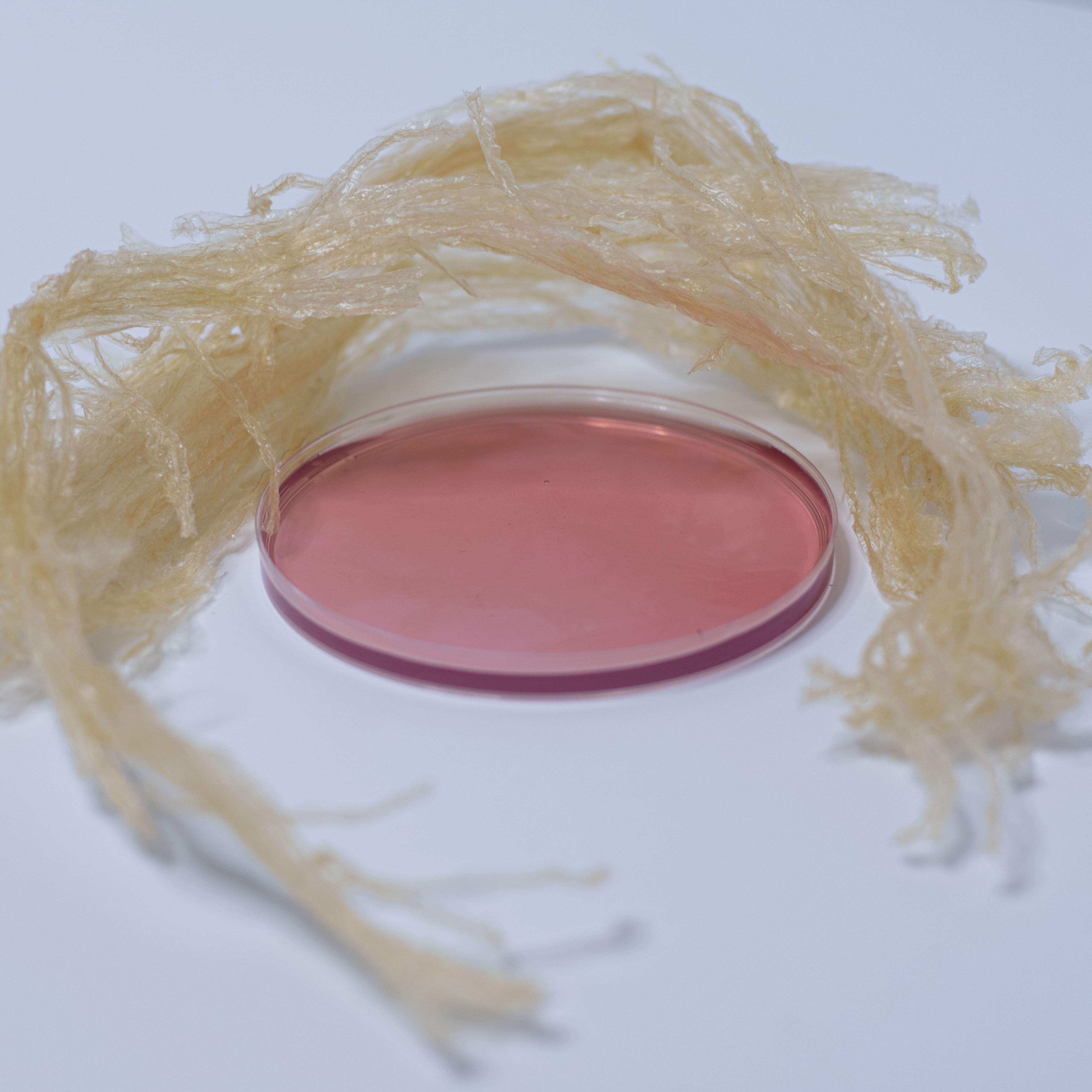 Agar para aplicaciones